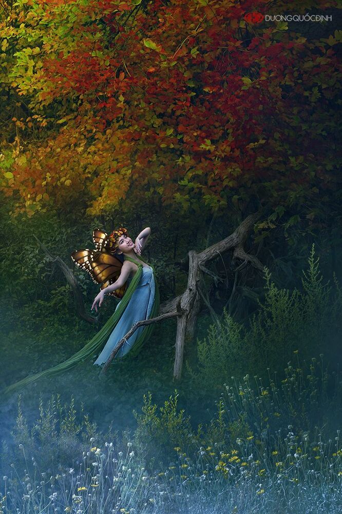 Autumn Fairy