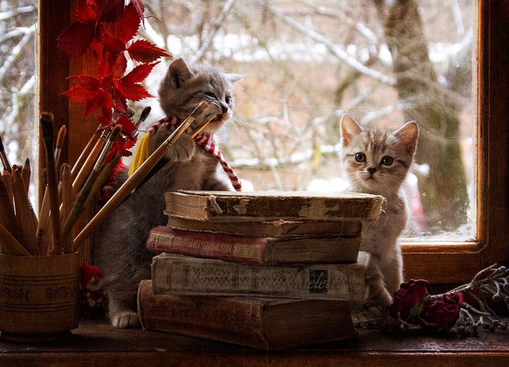 ~***~