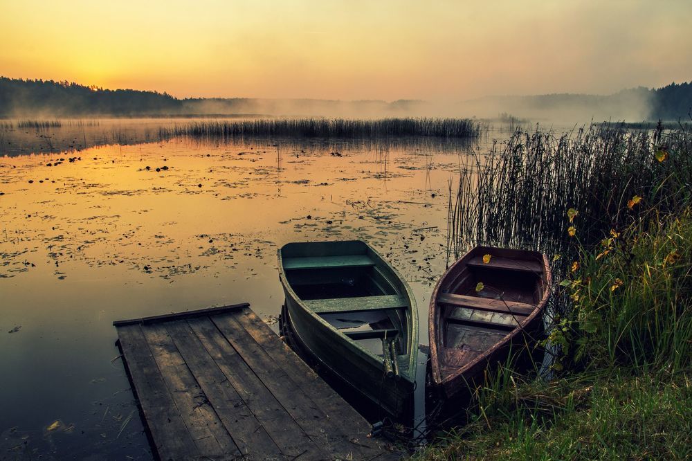 Dawn