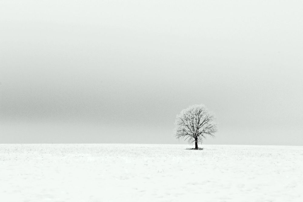 Solitude