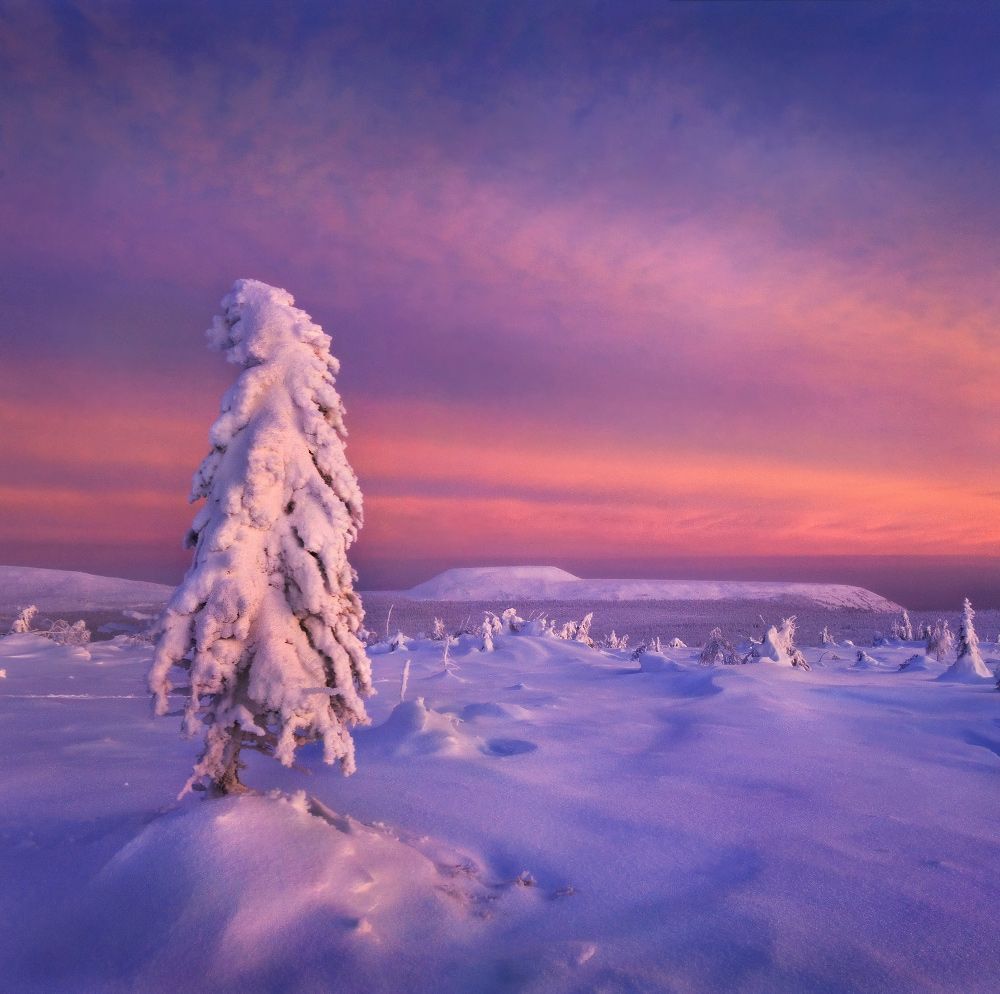 Снежная страна