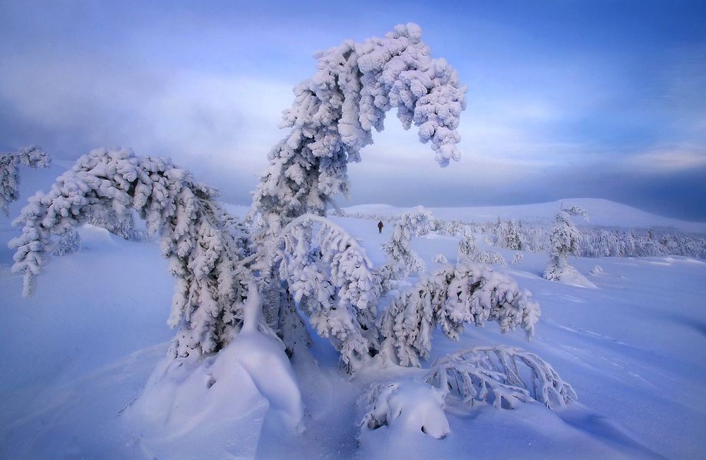 Величие снегов