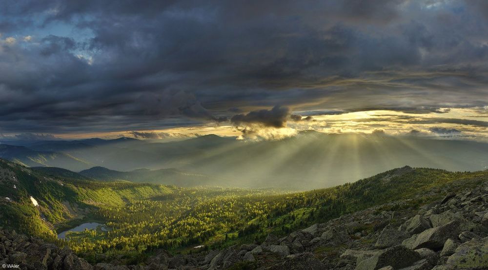 Photo 81134