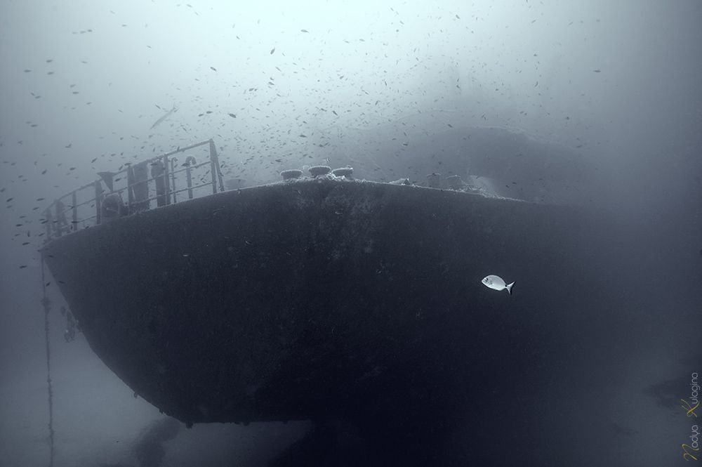 Photo 81477