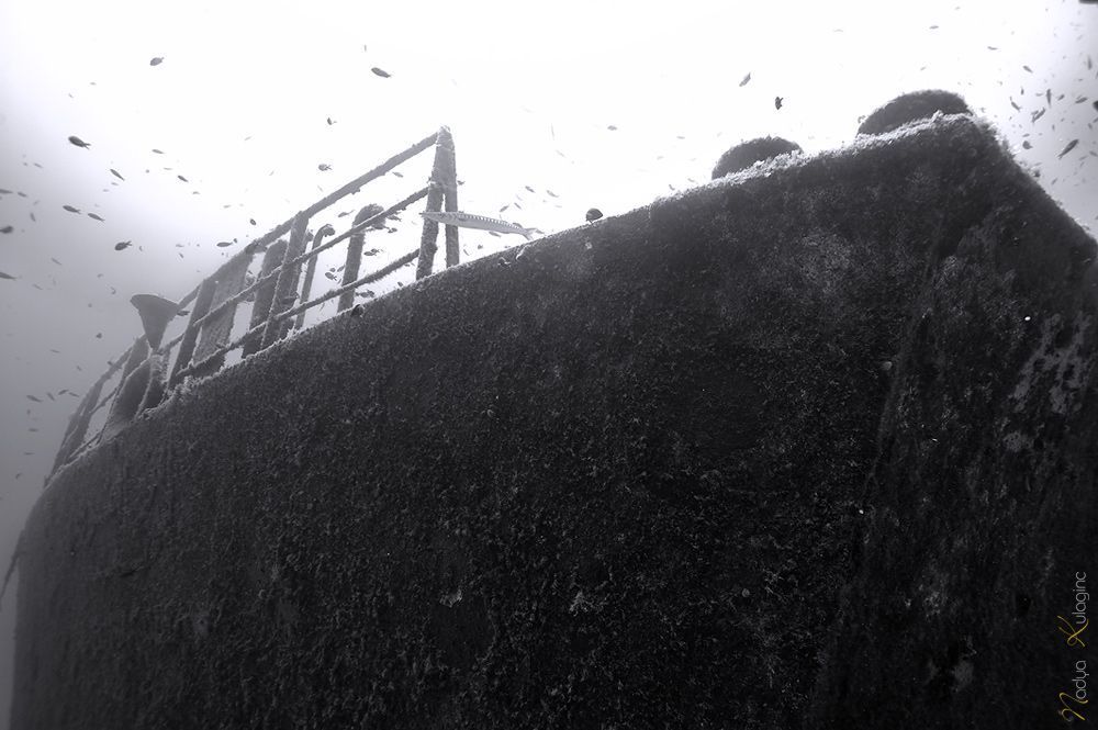 Photo 81478
