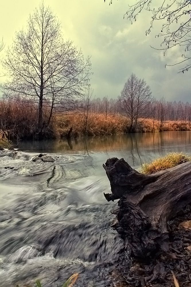 река Унжа