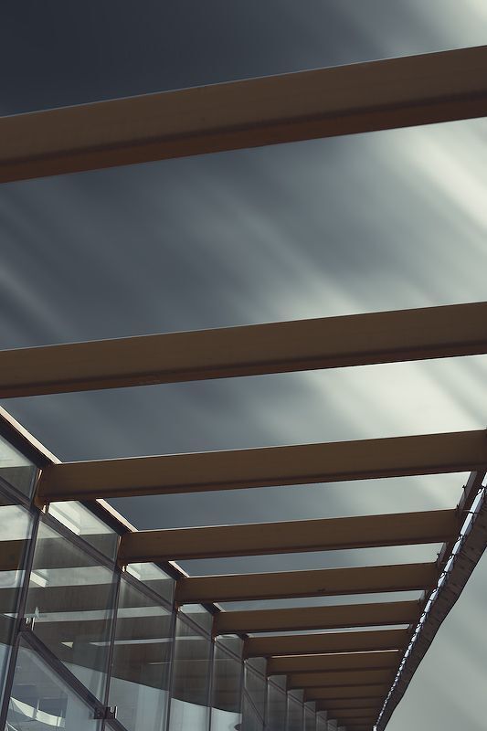 Photo 81719