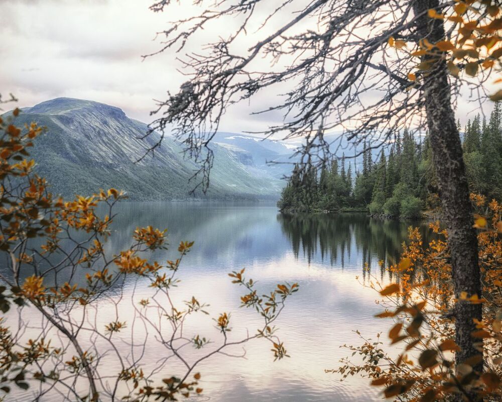 На севере