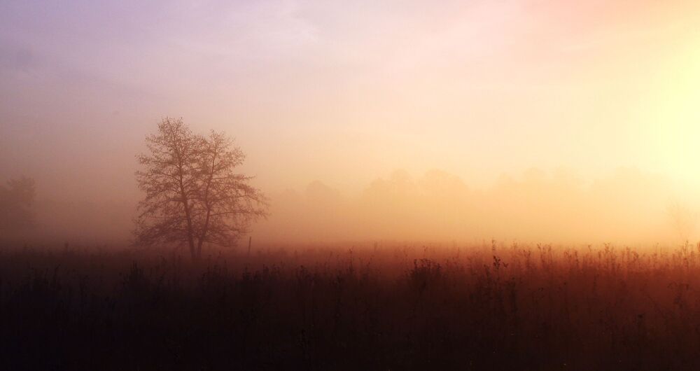Photo 810964