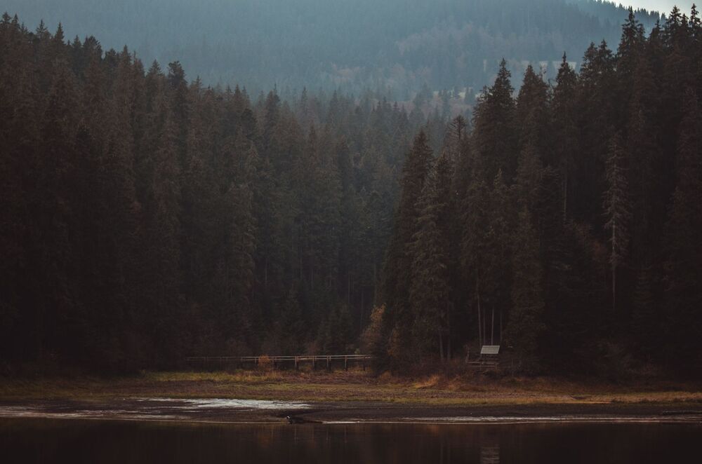Travel