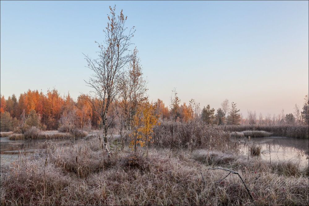 Морозное утро в первом свете