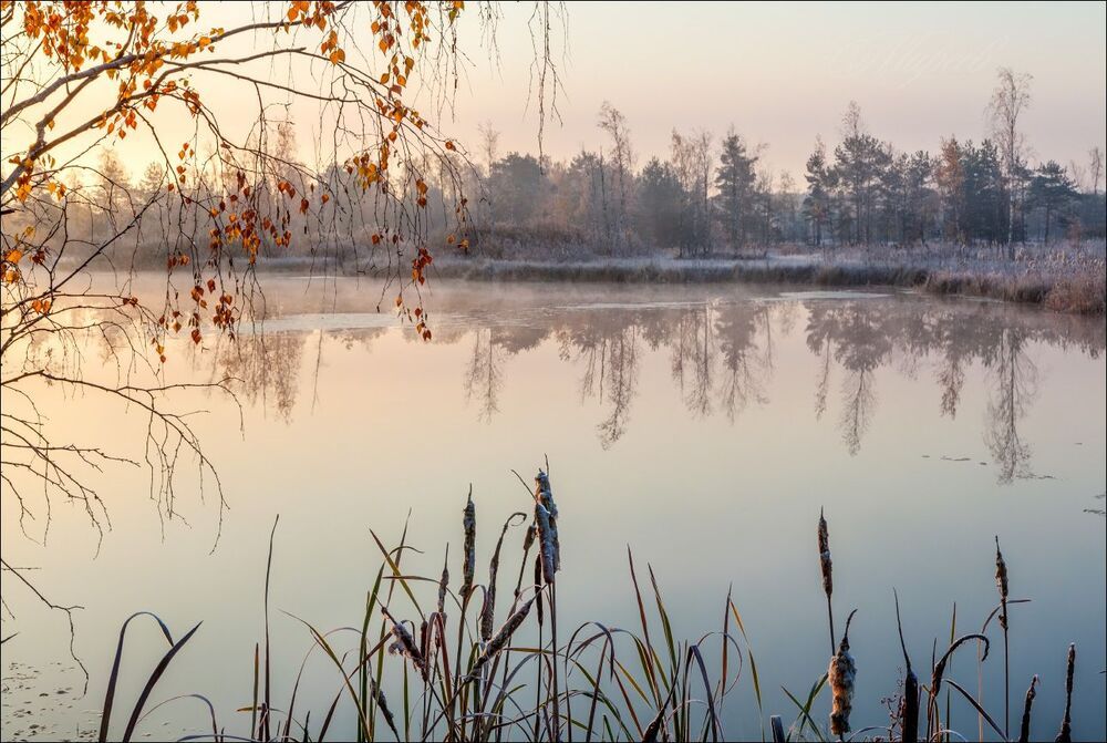 В первых лучах