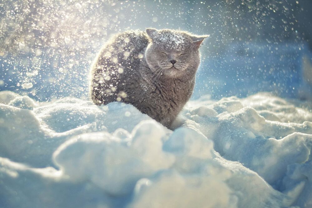 Let it snow!
