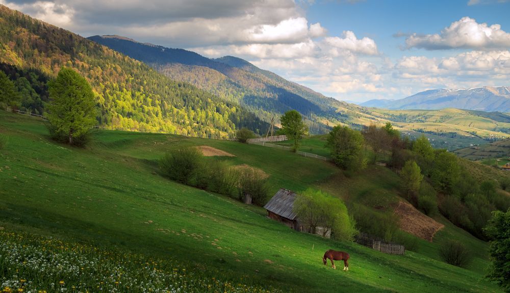 Карпатские