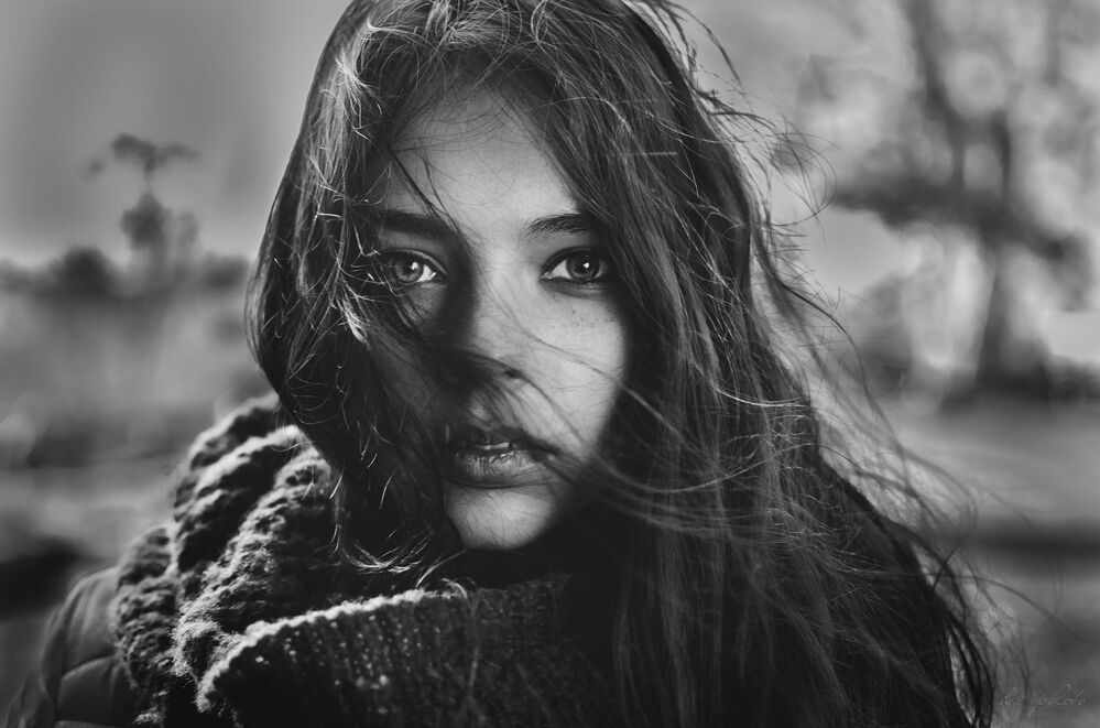 windy