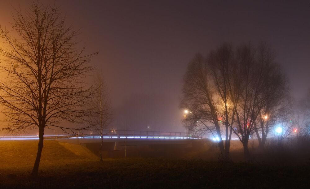 В тумане