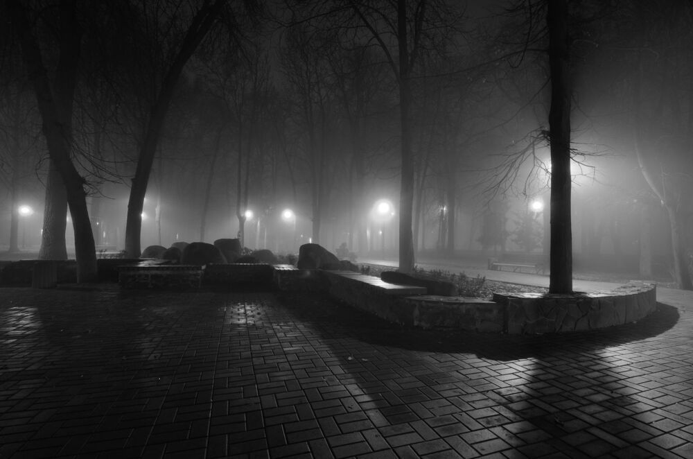 В тумане