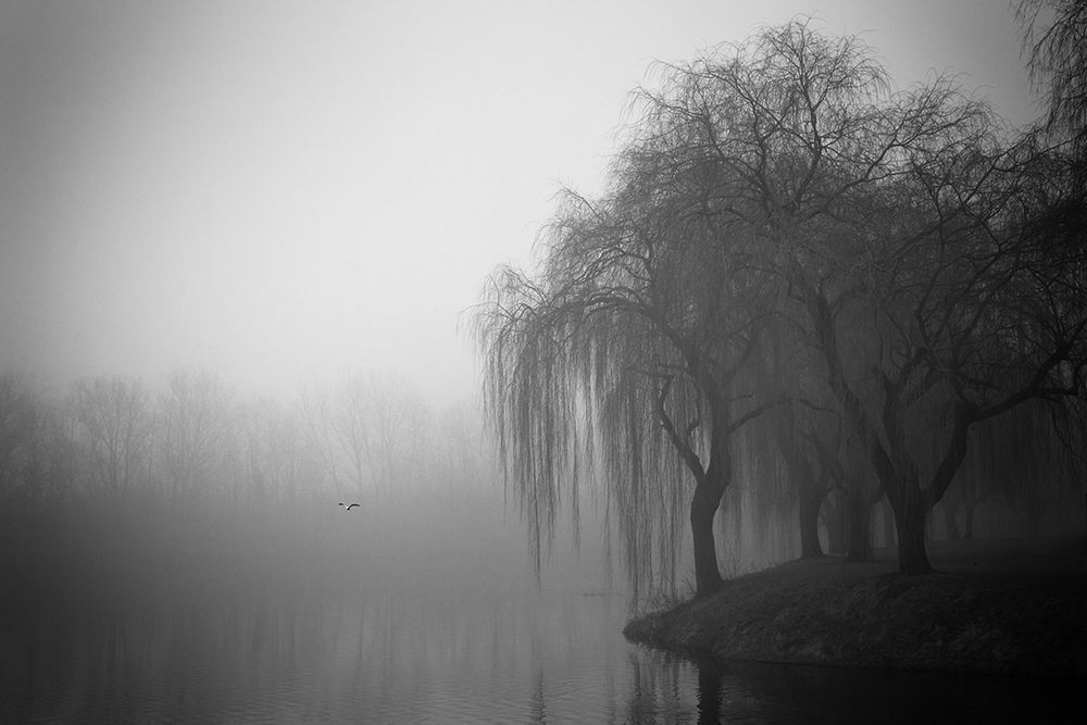 Parc Ubain, Villeneuve d'Ascq