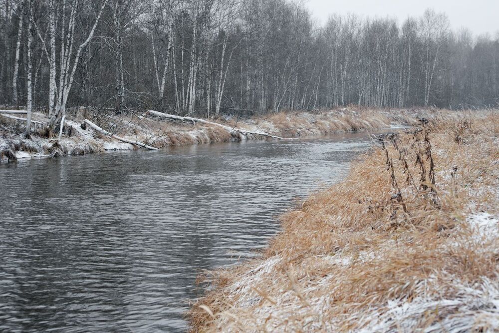 04 &hellip;порывы ветра, поднимающие  рябь на поверхности воды