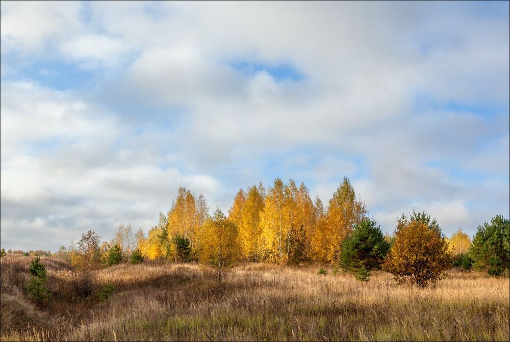 Золотая осень