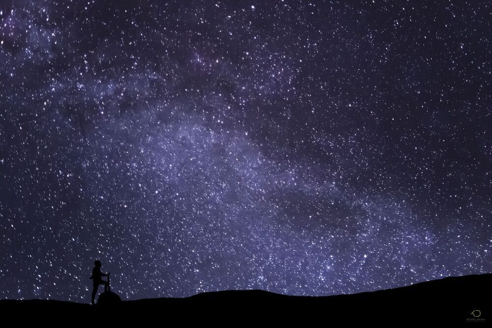 Journey to the Stars