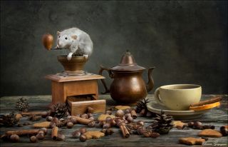 Чашечку кофе?