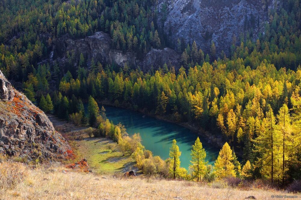 Сентябрьская Чуя