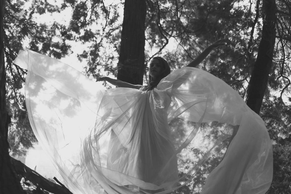 Silent Wings