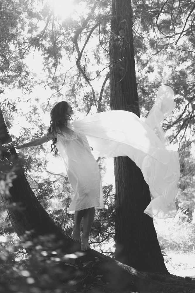 Silent Wings