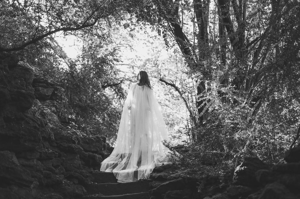 Silent Wings