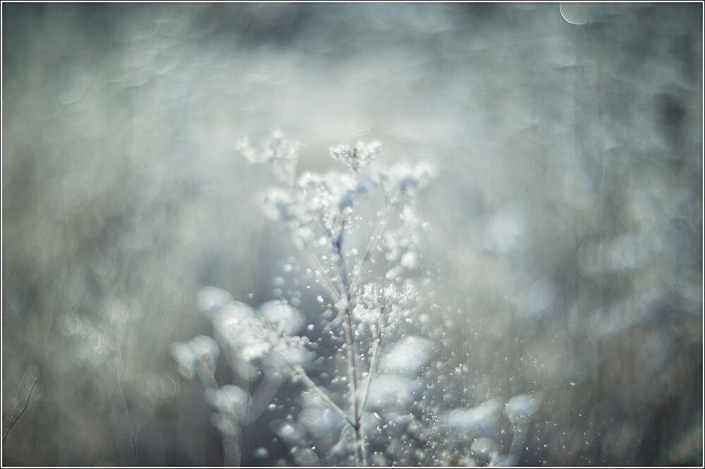 Photo 819838