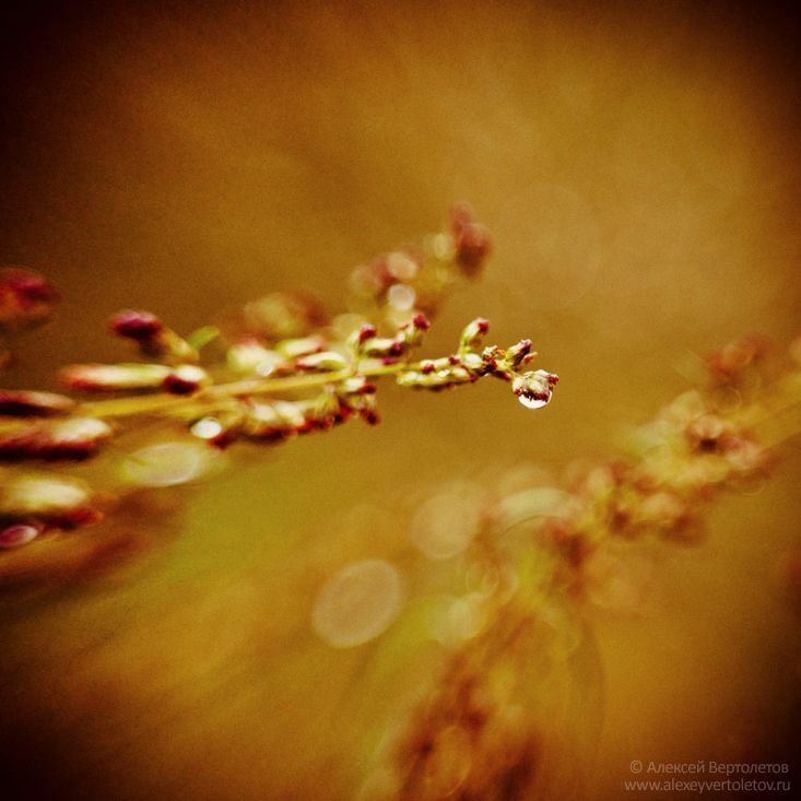 Photo 82291