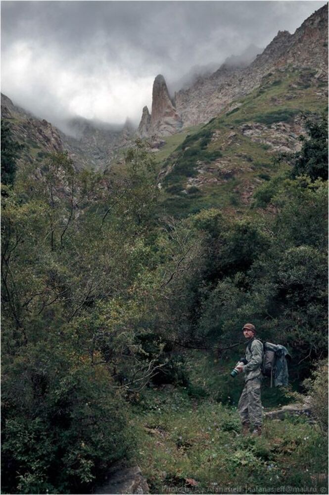 День четвёртый, ущелье Баш-Каинды, фотоохота. (Река Баш-Каинды - это приток реки Ат-Баши в Нарынской области Кыргызстана)