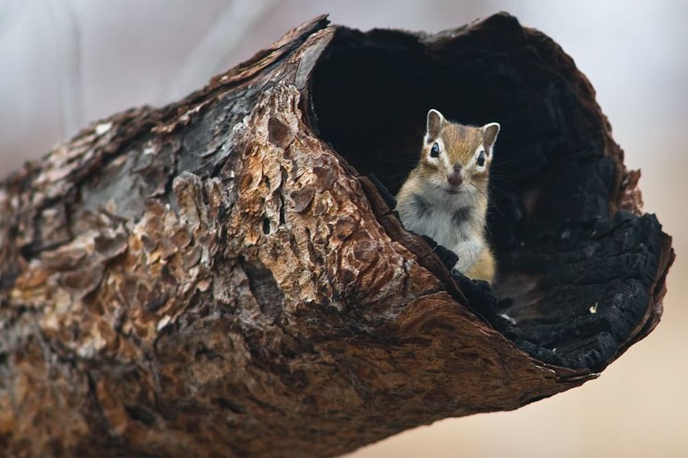 заходите в гости