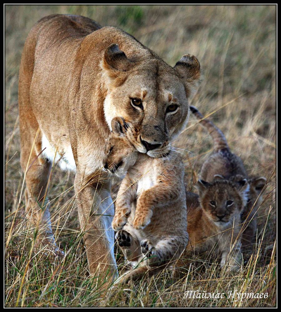 ПРОЦЕС ВОСПИТАНИЯ