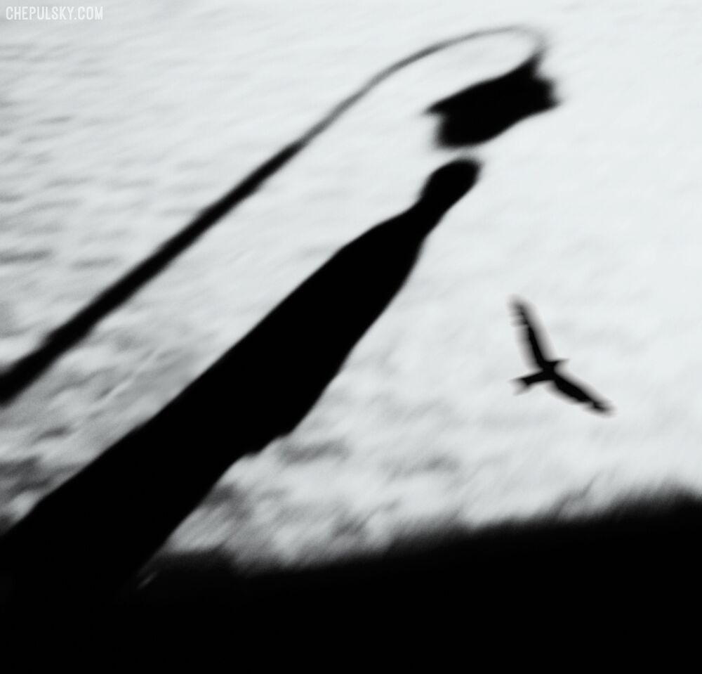 Photo 822785
