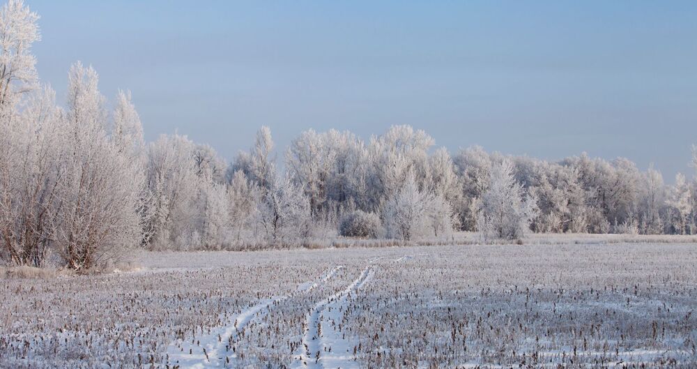 В декабре