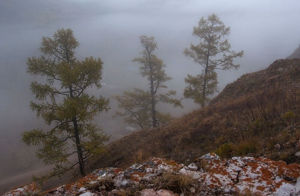 Прогулка по туману.