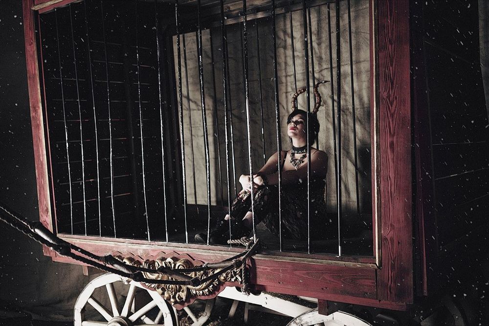 Dark Circus