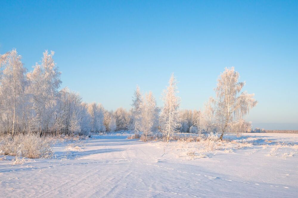 Белоснежки