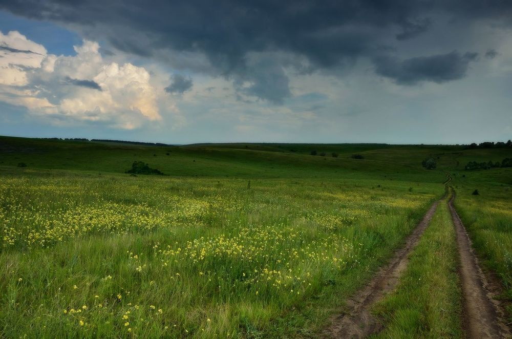 В грозу
