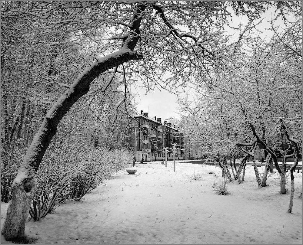 Снег в городе
