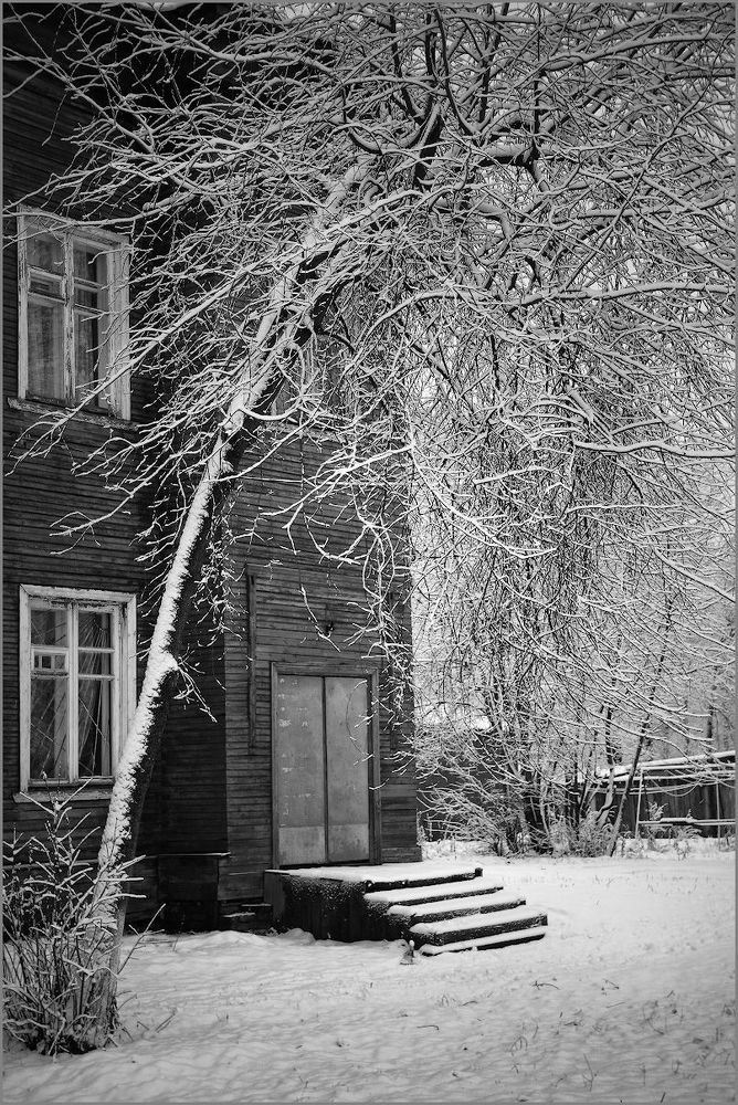 Снег в городе