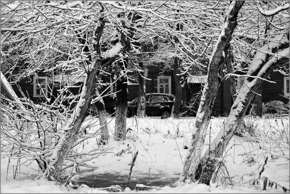 Снег в городе