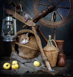 Игра в прятки