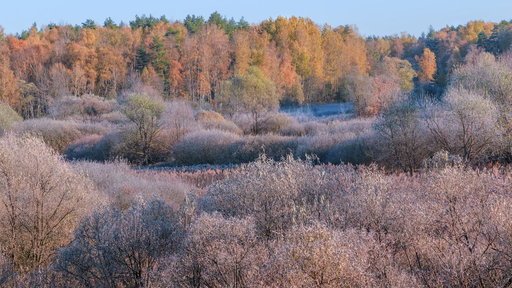 Осеннее утро