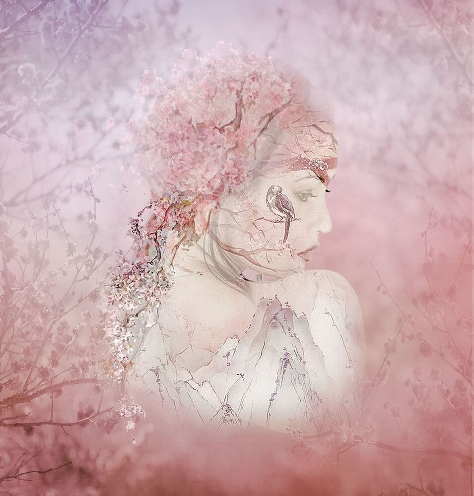 Metamorphosis