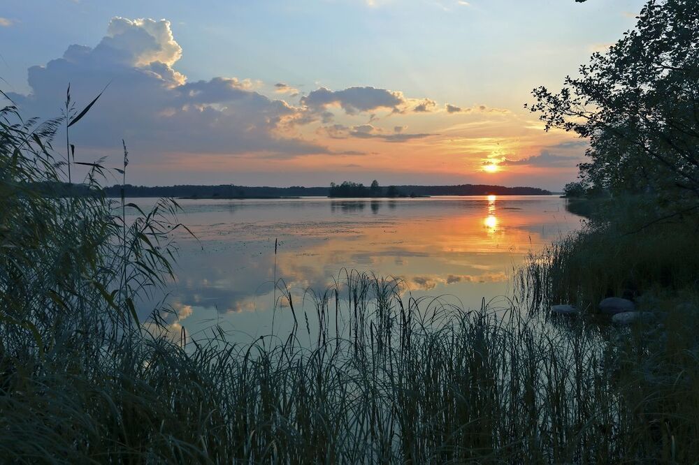 Утро, день, вечер ...