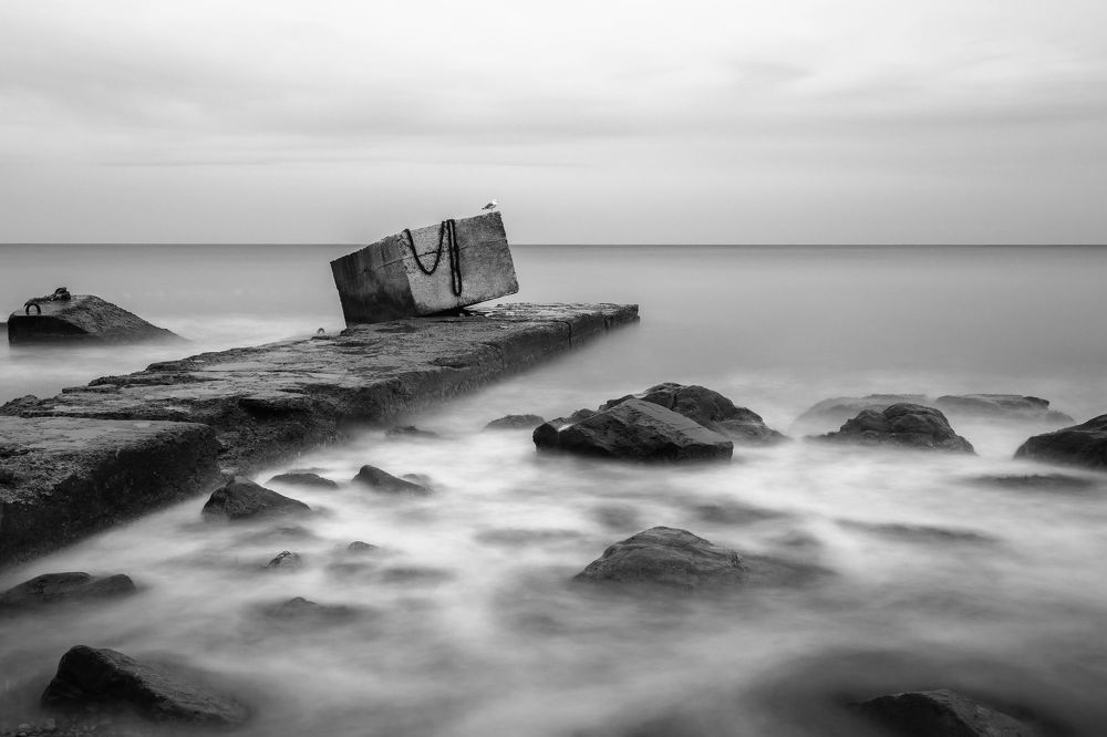 Landscapes