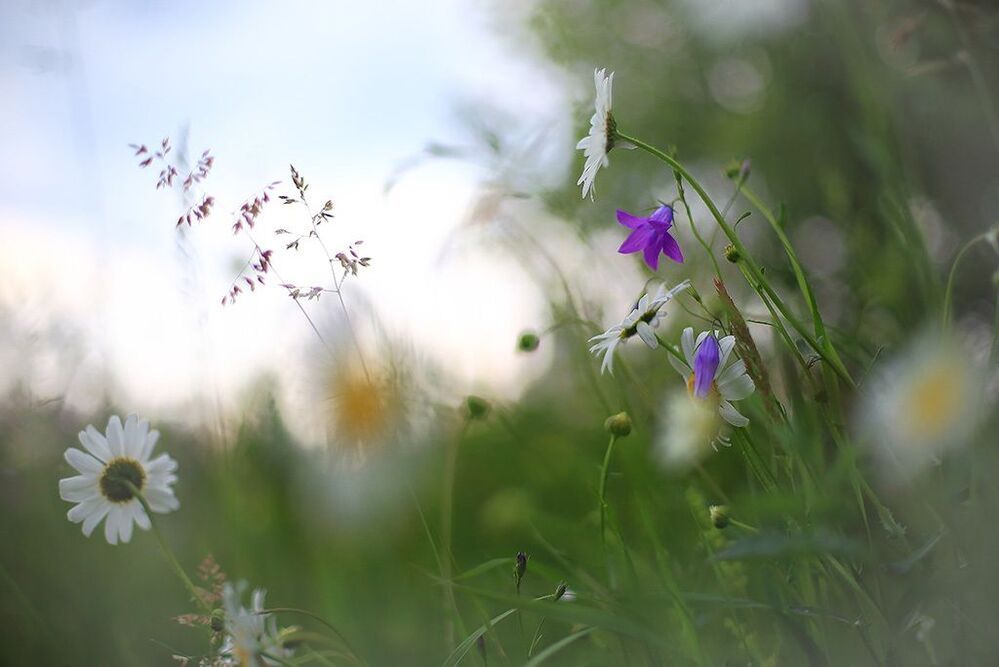 Photo 828255